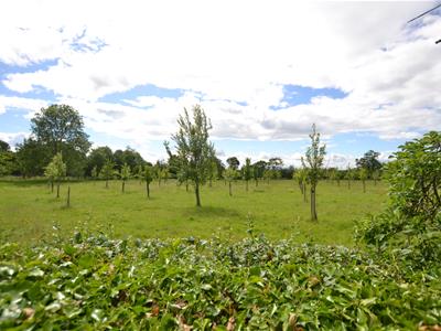Picture 23